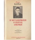 Η ΜΕΤΑΜΟΡΦΩΣΗ-Ο ΠΥΡΓΟΣ-ΑΜΕΡΙΚΗ